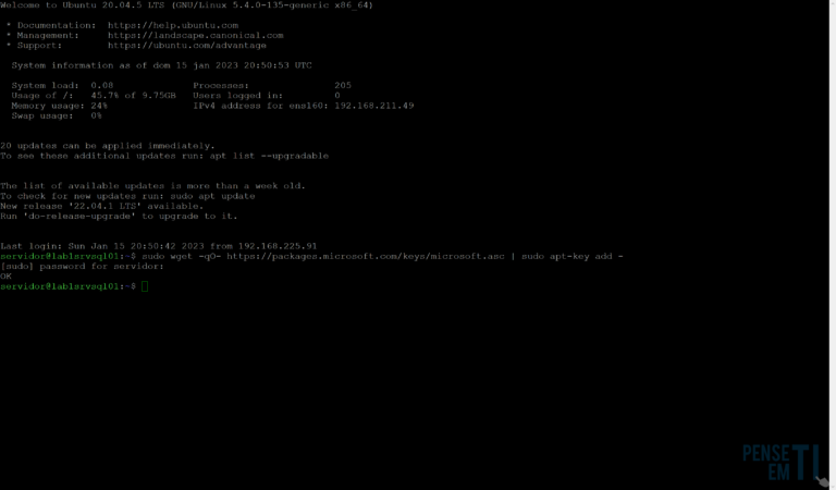 Instalação Microsoft SQL Server no Linux - Pense em TI